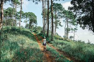 BIB: 
                            <button type="button" onclick="openModal(25677519)" class="btn btn-primary btn-sm float-right btn-popup" data-toggle="modal" data-target=".modal-high-quality">
                        <i class="fas fa-shopping-cart"></i> Add to Cart
                    </button>
                                            <button type="button" onclick="isThisMe(25677519, true)" class="btn btn-success btn-sm float-right btn-popup btn-isme hidden" data-toggle="tooltip" data-placement="bottom" title="นี่คือรูปของคุณใช่ไหม คลิกที่นี่เพื่อเอาเข้าอัลบั้ม">
                        <i class="fas fa-plus"></i> Add to album
                    </button>
                    <button type="button" onclick="isThisMe(25677519, false)" class="btn btn-warning btn-sm float-right btn-popup btn-isnotme hidden">
                        <i class="fas fa-ban"></i> Remove from album
                    </button>